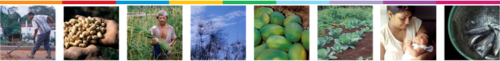 Image banner food security and nutrition